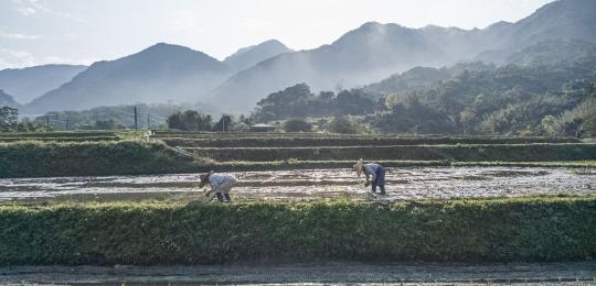 生態村的永續價值傳承