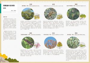 台北綠色文化藏寶圖-寶藏巖地圖背面