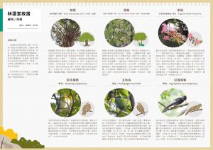 台北綠色文化藏寶圖-林語堂地圖背面