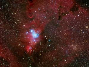 <a href="https://plaza.openmuseum.tw/muse/digi_object/3c17fcea5b2fee137c438e0f4be512ea" target="_blank">NGC 2264 (the Christmas Tree) and Open Cluster Trumpler 5</a>