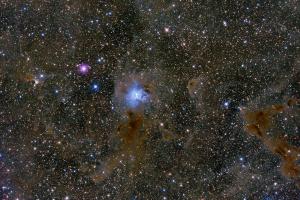 <a href="https://plaza.openmuseum.tw/muse/digi_object/26ac56f3c0e1a597bedf7590c3ebc43a" target="_blank">NGC 7023 Iris Nebula</a>