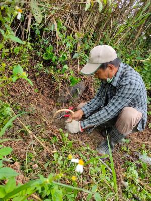 陷阱架設-捕捉走地型禽類