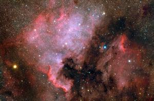 NGC 7000 North America and Pelican Nebulas