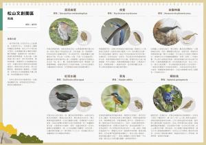 台北綠色文化藏寶圖-松菸地圖背面