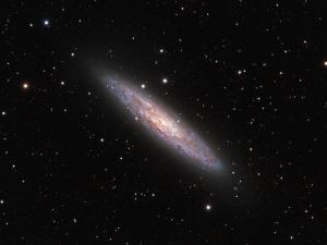 <a href="https://plaza.openmuseum.tw/muse/digi_object/5cb615d519a2a9748b61e5d3e0bfc690" target="_blank">NGC 253</a>