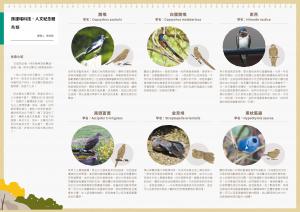 台北綠色文化藏寶圖-孫運璿地圖背面